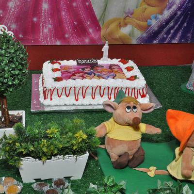 fotografo-de-festa-infantil-tatuape